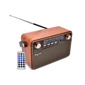 Radio Nisuta NS-RV21