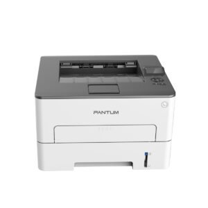 Impresora Láser Pantum P3010DW